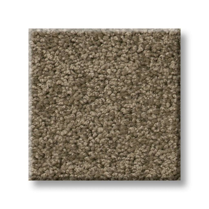 Origins Ii Townhouse Nylon Carpet - Textured