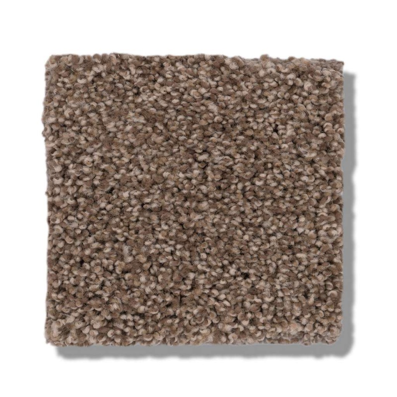 Caress By Shaw Cozy Harbor II Raw Wood Nylon Carpet