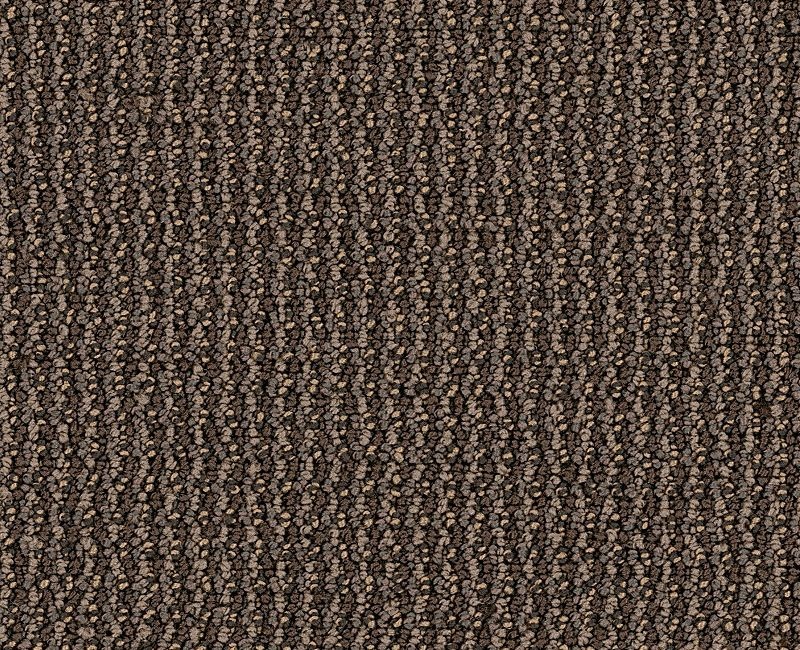 Clearance Sale! Dateline Today Brown Nylon Carpet - Loop