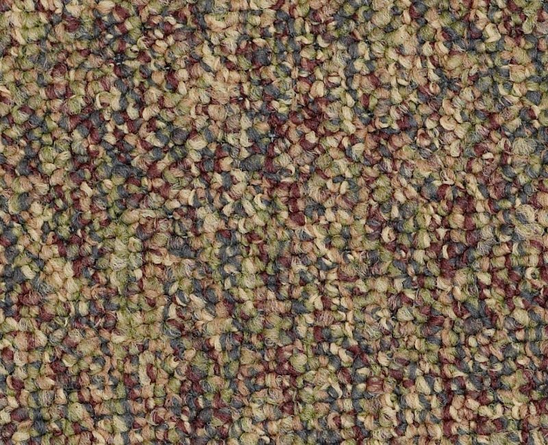 Clearance Sale! Franchise Ii 28 Brown / Red Nylon Carpet - Textured