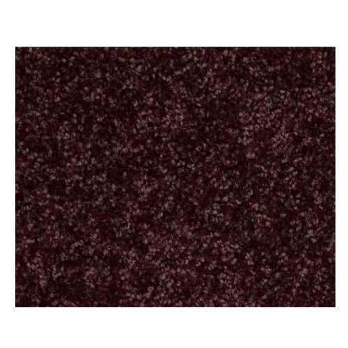 Qs216 Royal Purple Polyester Carpet - Textured