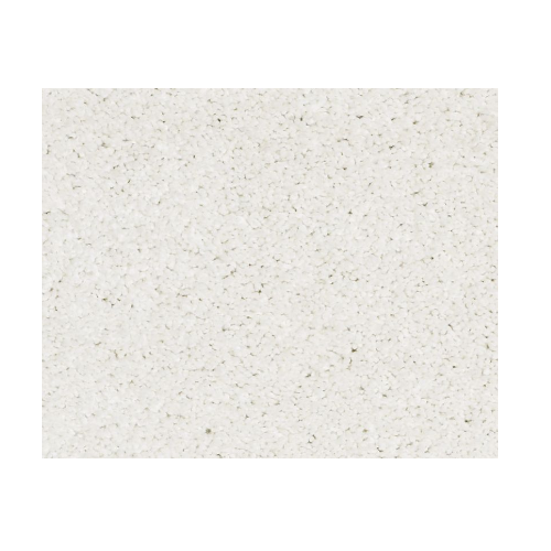Castle Pv Ii Crisp Nylon Carpet - Textured