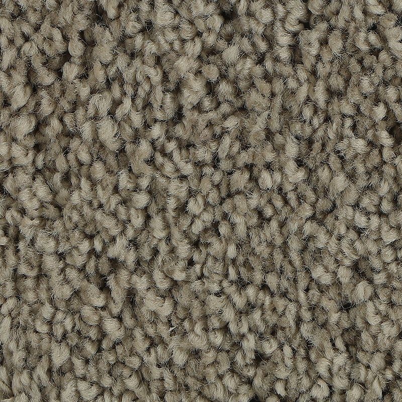 Soft Outlook Universal Polyester Carpet - Textured