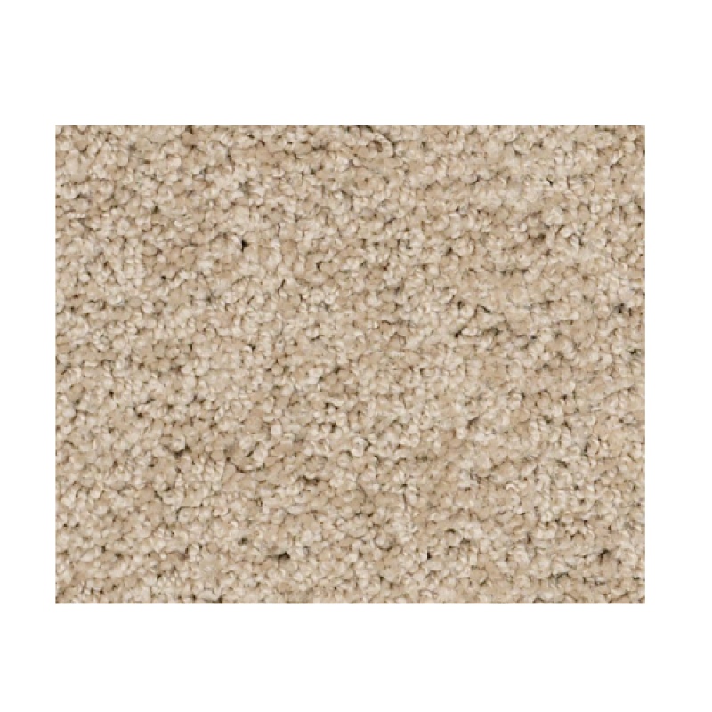 Butterfly Kisses Iii Sage Brush Nylon Carpet - Textured