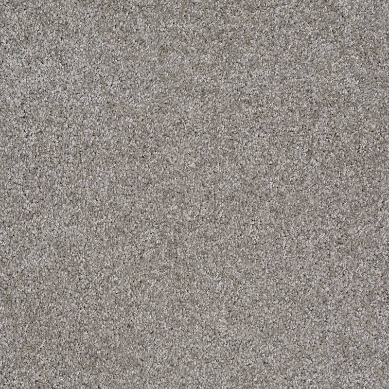Adam's Choice (S) Pewter Solid Nylon Carpet - Textured