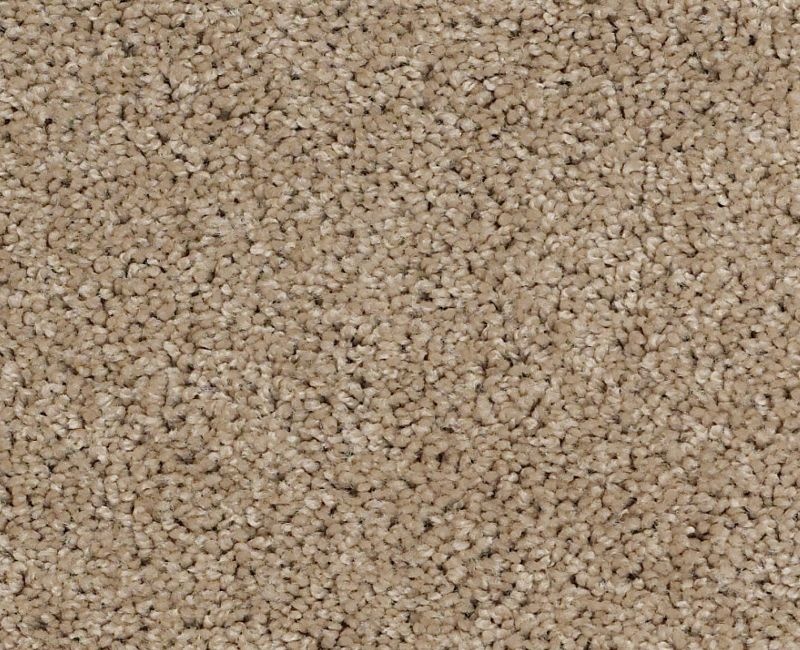 In A Twinkling Pebble Path Nylon Carpet - Textured
