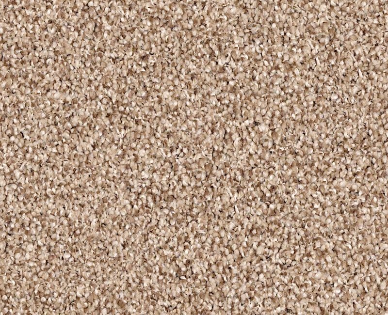 Palatial Caravan Nylon Carpet - Textured