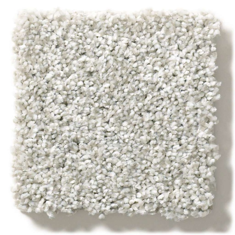 Simply The Best All Over It Ii Dove Polyester Carpet - Textured