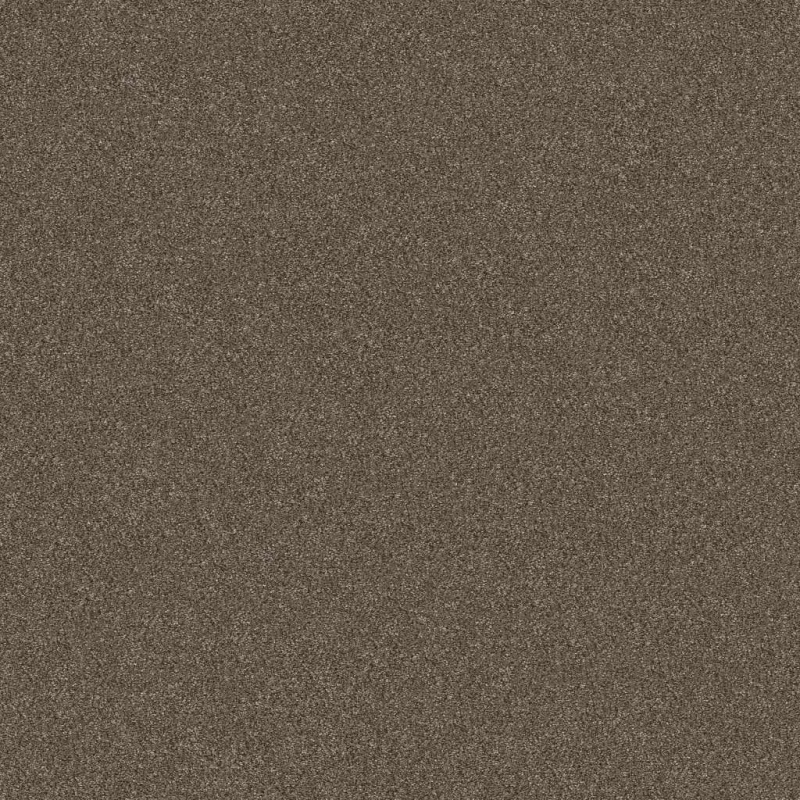 Simply The Best Without Limits III Bountiful Polyester Carpet - Textured