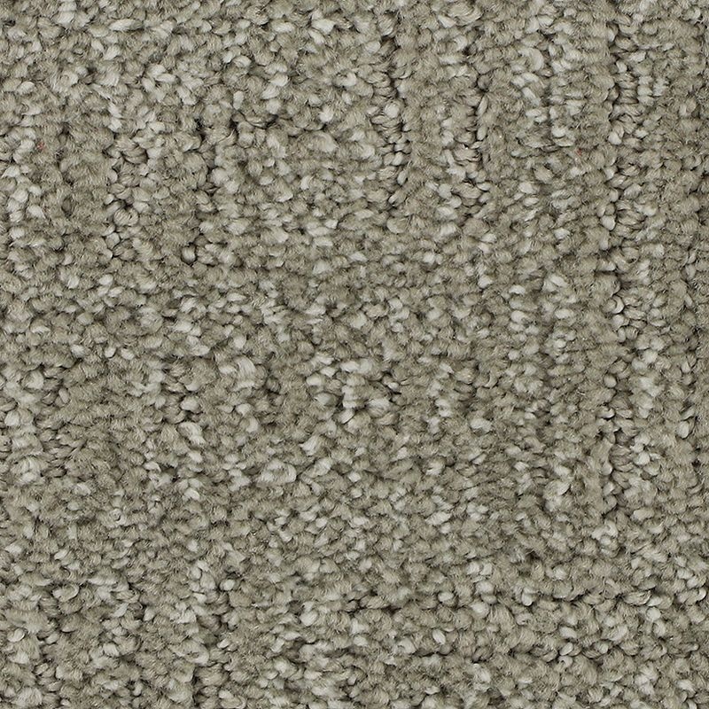 Natural Texture Weathered Wood Triexta Carpet - Pattern