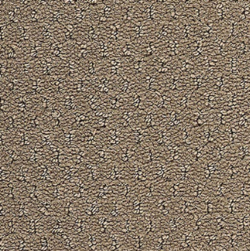 Influencer Classic Update Rustic Stone Nylon Carpet - Loop