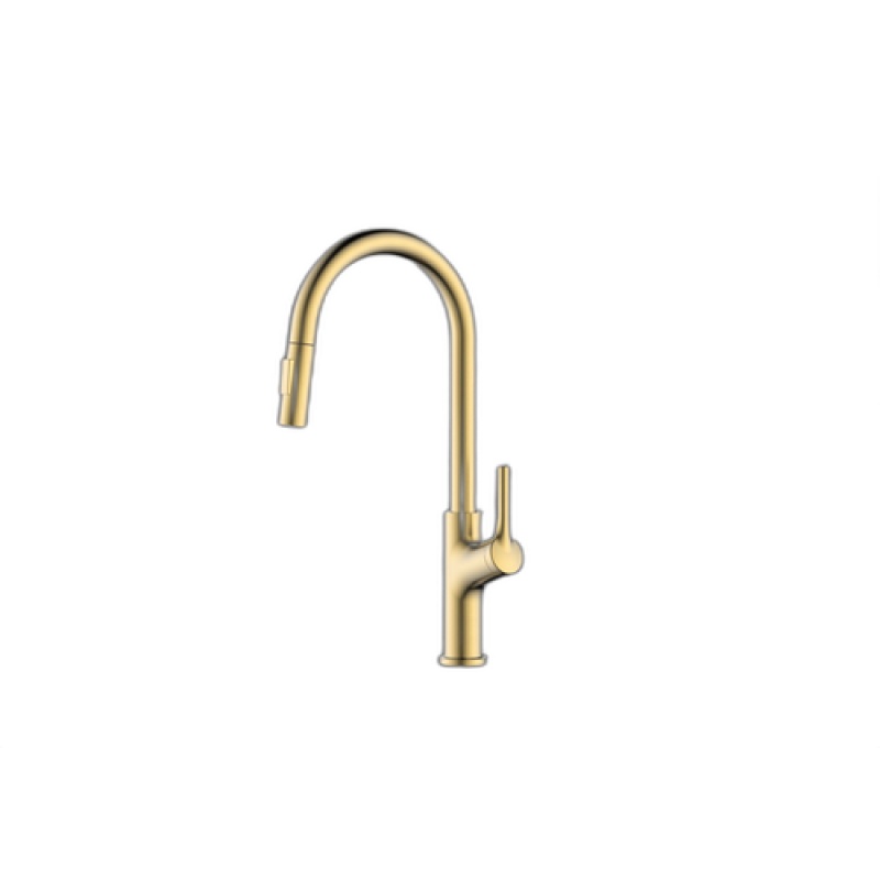 Danube Zinc Alloy Kitchen Faucet - Single Handle / One Hole With Spring Spout - Brushed Gold