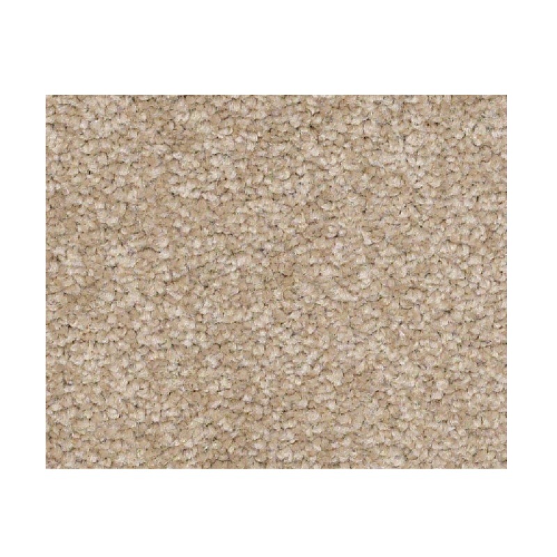 Bright Spirit I 12 Sahara Nylon Carpet - Textured