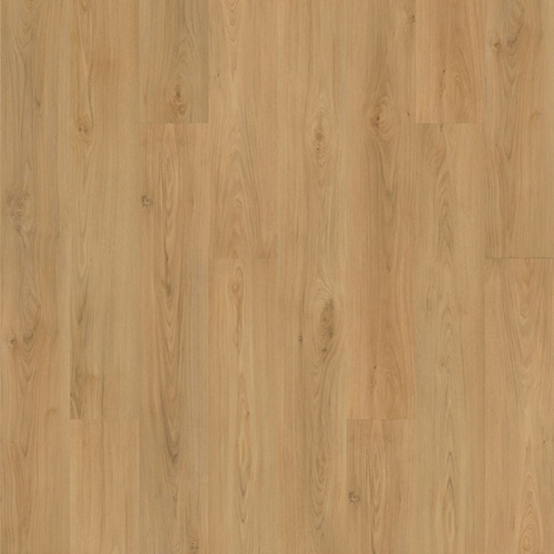 Barker Hollow Daisy SPC Luxury Vinyl Plank Flooring