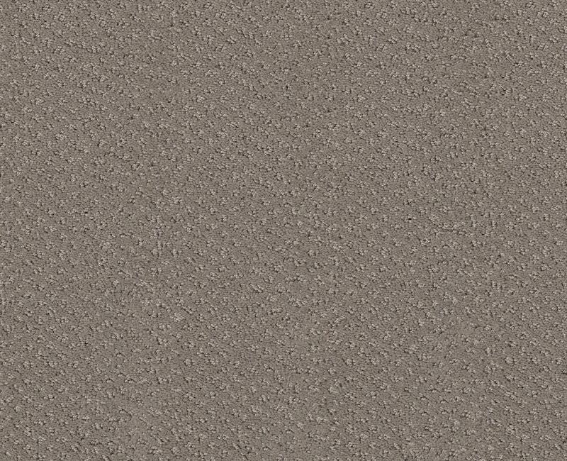 Main Squeeze River Run Nylon Carpet - Textured