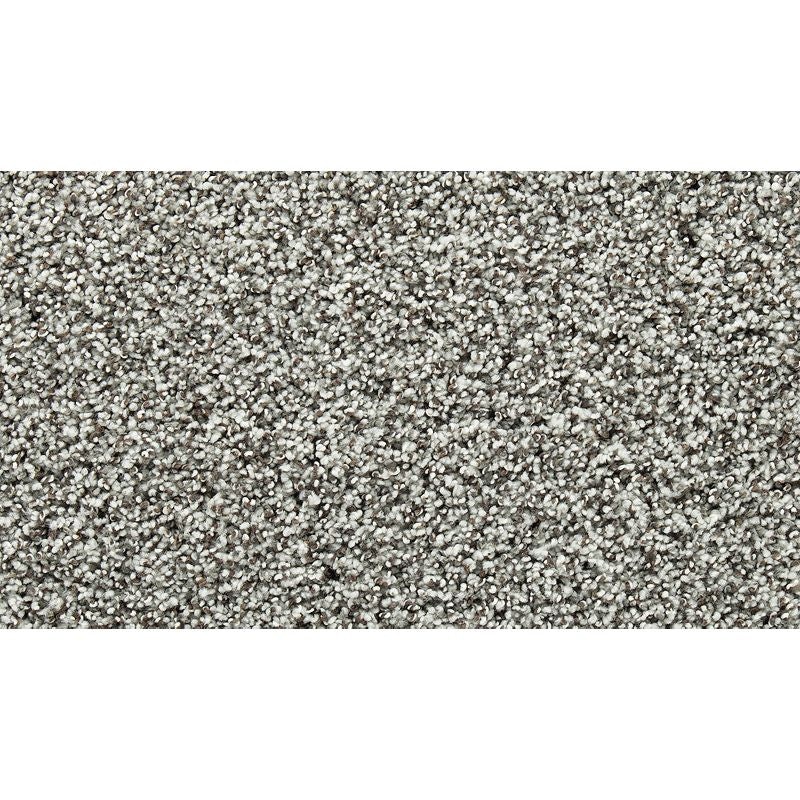 Natural Opulence Ii Silence Triexta Carpet - Textured