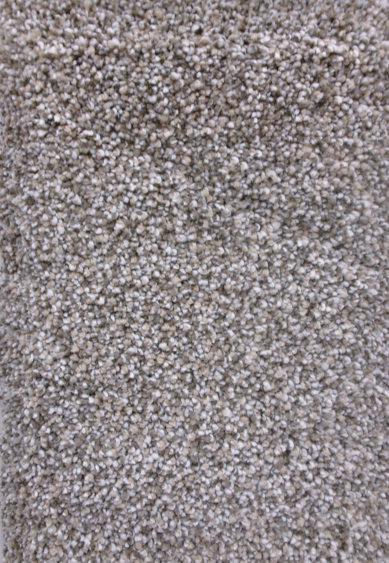 Everest Lookout Polyester Carpet - Textured