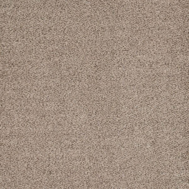 Eternal Beauty Aged Linen Polypropylene Carpet - Textured
