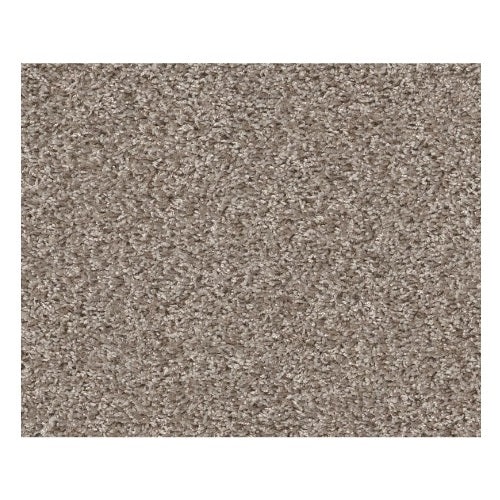 Spirited Antique Lace Polyester Carpet - Twist