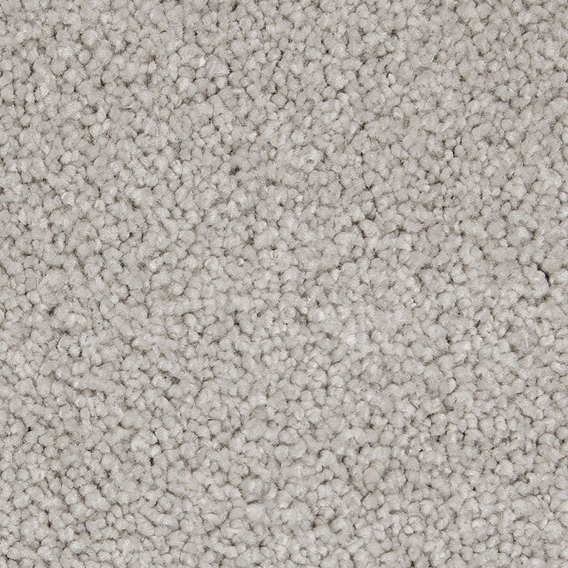 Gentle Approach Classic Silver Triexta Carpet - Textured
