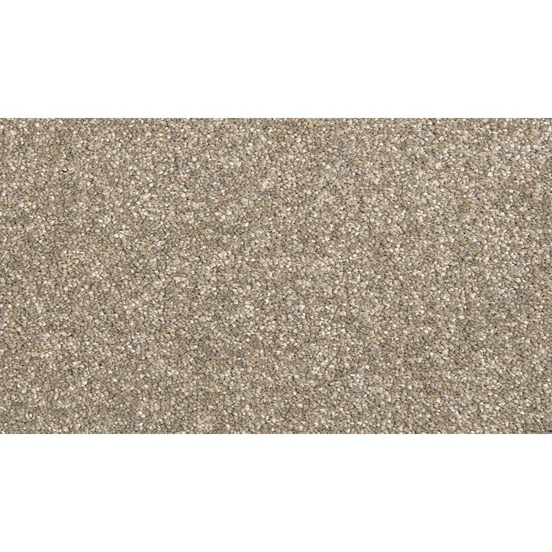 Dynamic Quality Ii Iron Clad Polyester Carpet - Textured