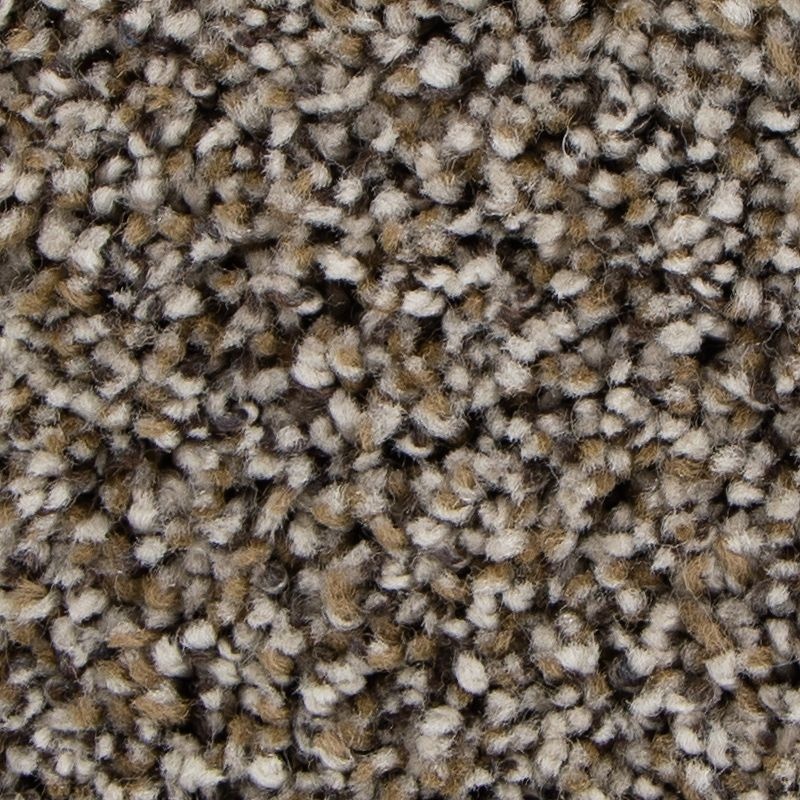 Soft Intrigue Ii Seastone Polyester Carpet - Textured