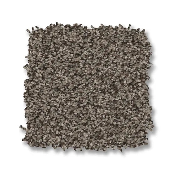 Avalon Bay Sable Nylon Carpet - Textured