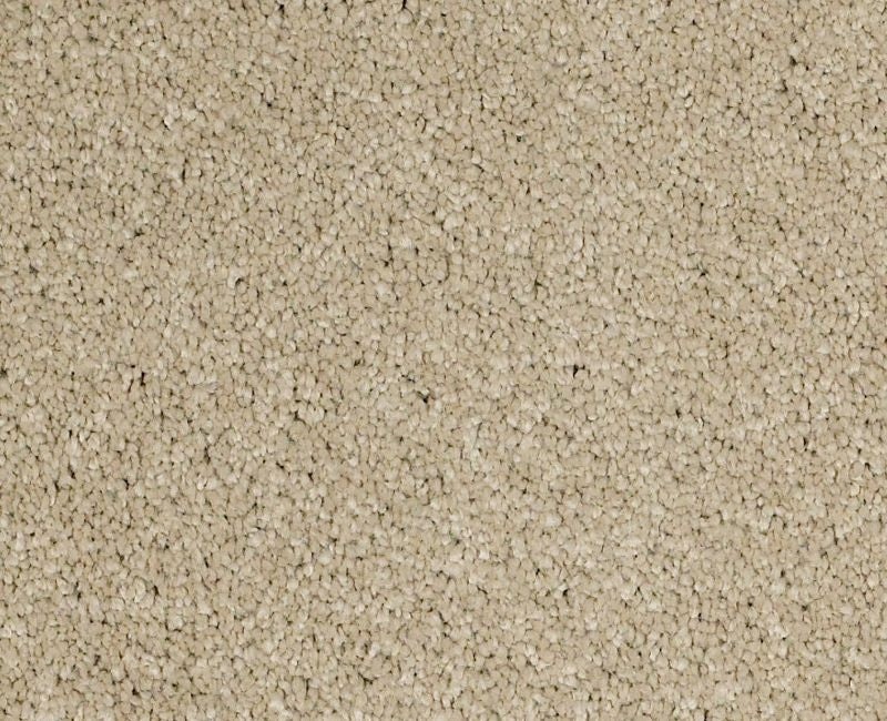 Pelotage Iv Romney Marsh Nylon Carpet - Textured