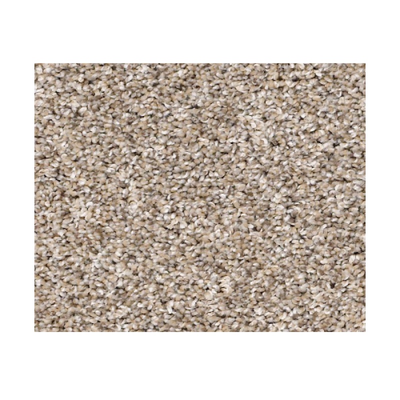 Captured I Neutral Ground Polyester Carpet - Textured