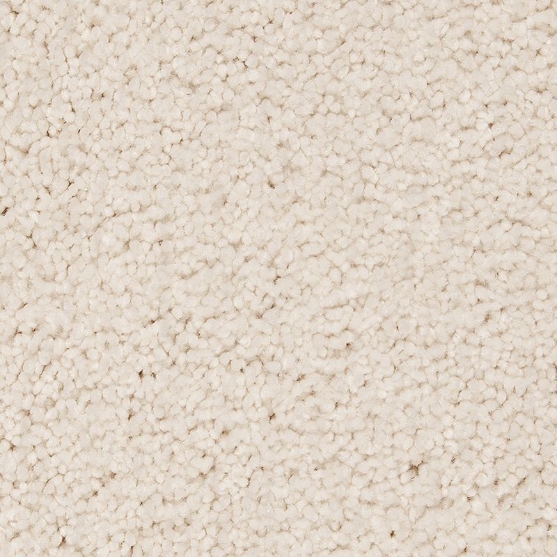 Gentle Approach Dovetail Triexta Carpet - Textured