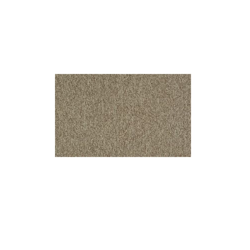 Multiplicity Plethora Nylon Carpet Tile – Loop