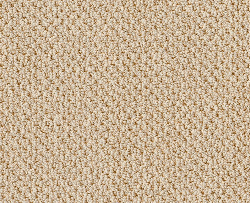 La Corra Custard Nylon Carpet - Loop