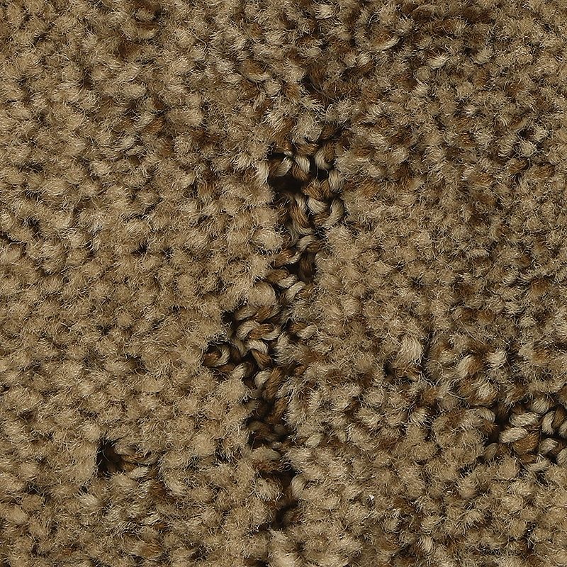 Elaborate Appeal Mushroom Polyester Carpet - Pattern