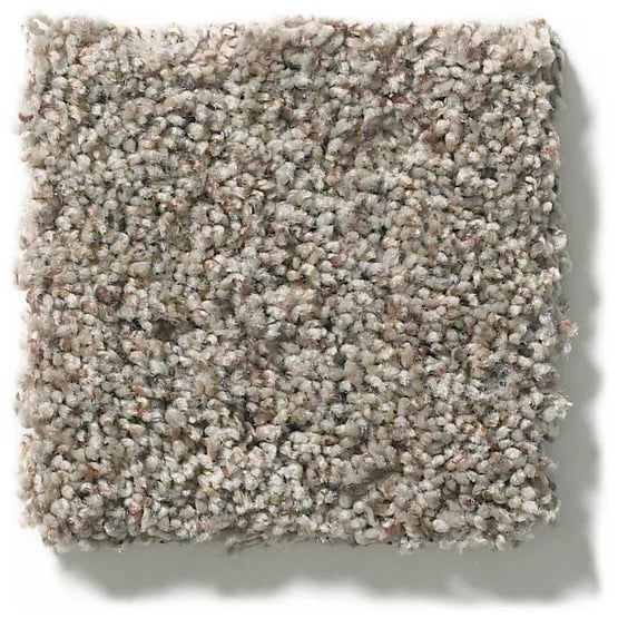 Carmel Coast Samara Nylon Carpet - Textured