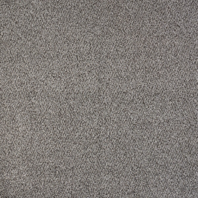 North Star Alluring Polypropylene Carpet - Textured