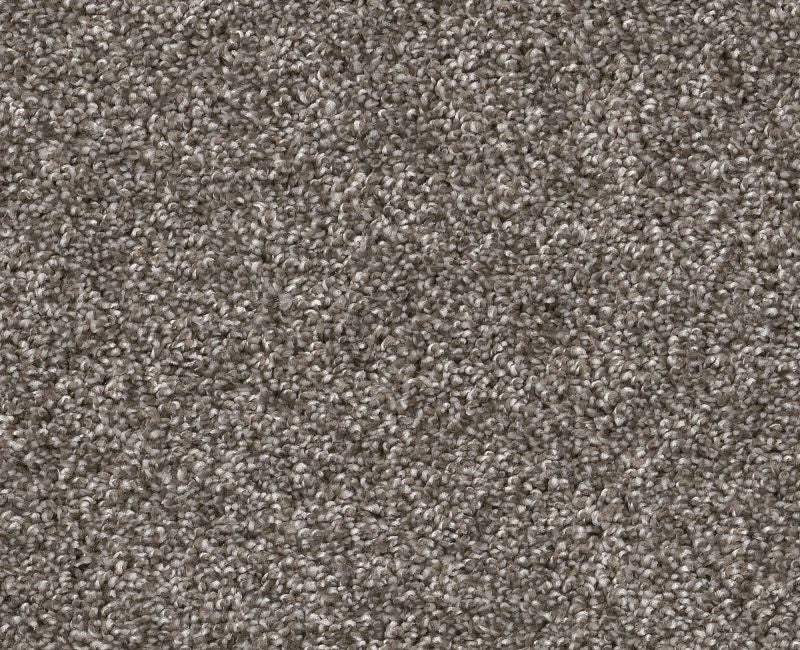 Pet Perfect Yes You Can II 15' Ashes Polyester Carpet