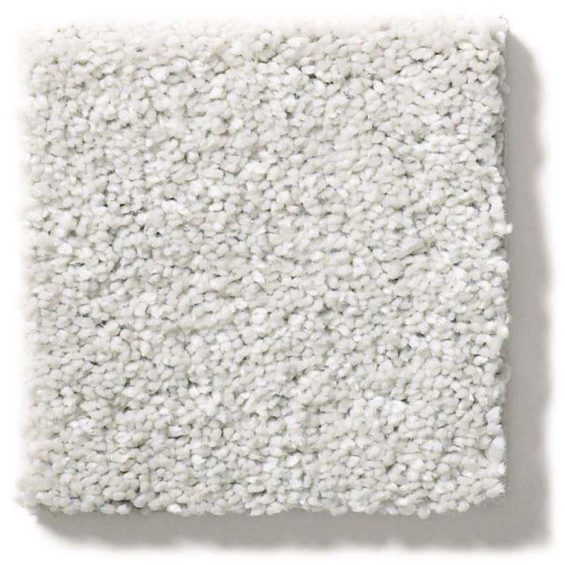 Simply The Best After All II Dolphin Polyester Carpet