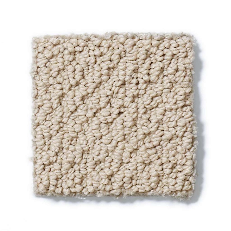 Foundations Smart Thinking Espresso Nylon Carpet - Loop