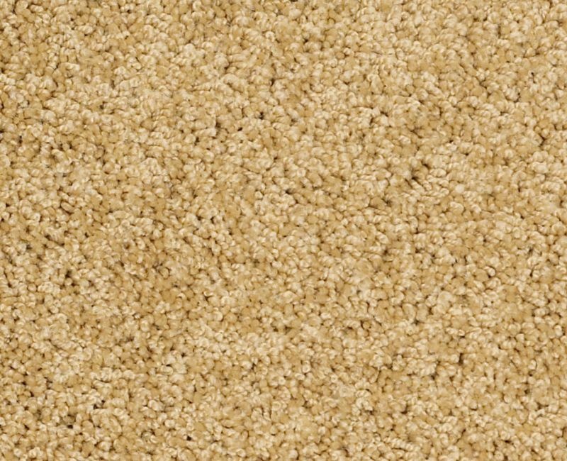 Playa Blanca Festival Gold Nylon Carpet - Textured