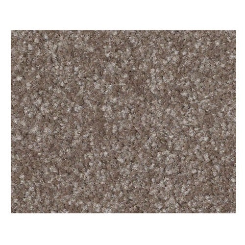 Qs235 Ii 12' Field Stone Nylon Carpet - Textured