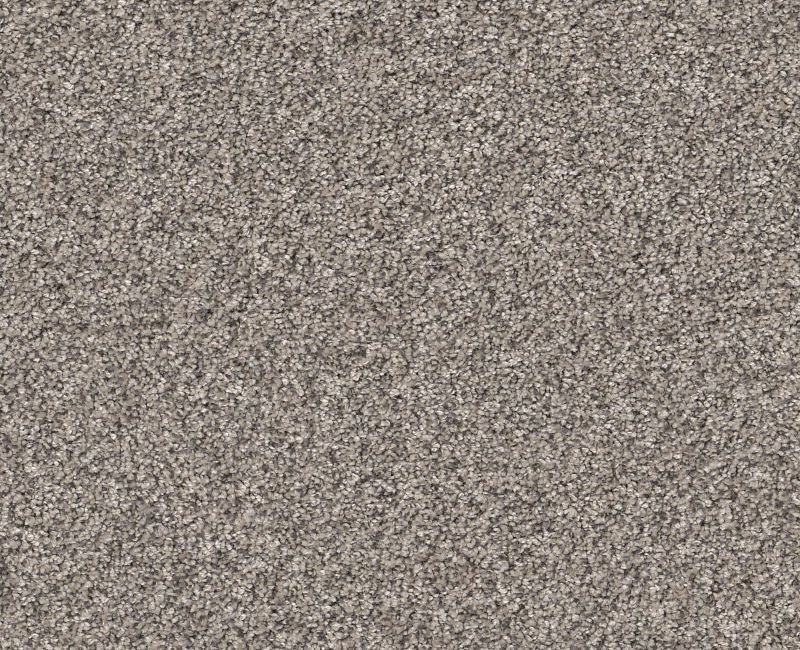 Artsy Ii Warm Light Polyester Carpet - Textured