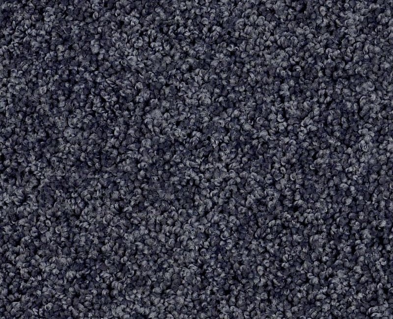 Orlando Pv Denim Days Nylon Carpet - Textured