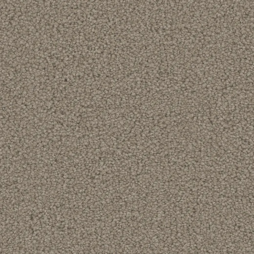 Floorever PetPlus Emerson Luxury Polyester Carpet - Textured