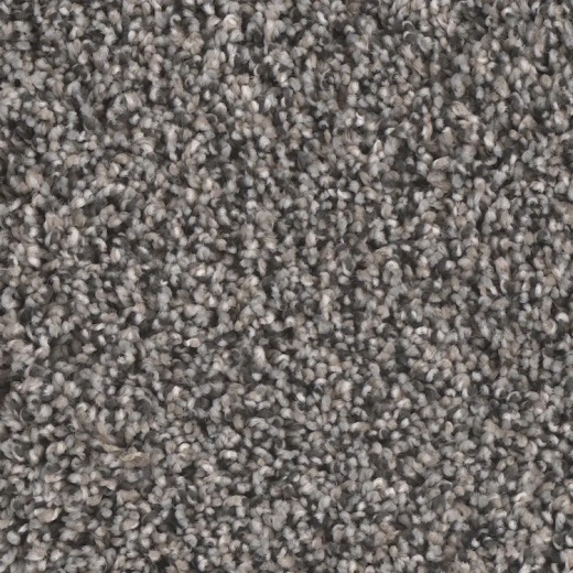 Microban Riverbend II Raceway Polyester Carpet - Textured
