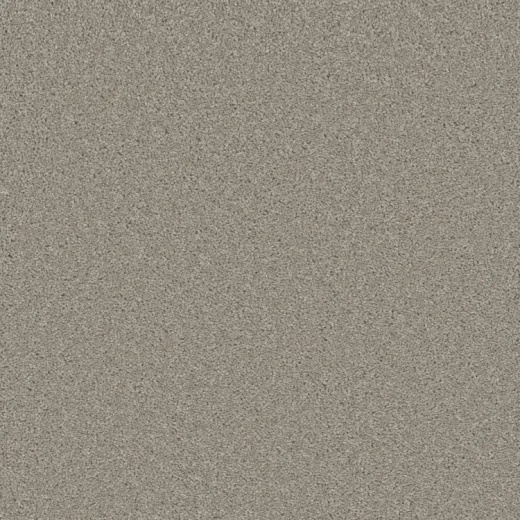 Microban Magical Ravishing Polyester Carpet - Textured
