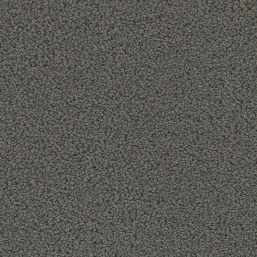 Floorever Petplus Mateo Sumptuous Polyester Carpet - Textured