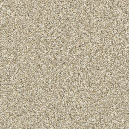 Microban Top Notch Prime Polyester Carpet - Pattern