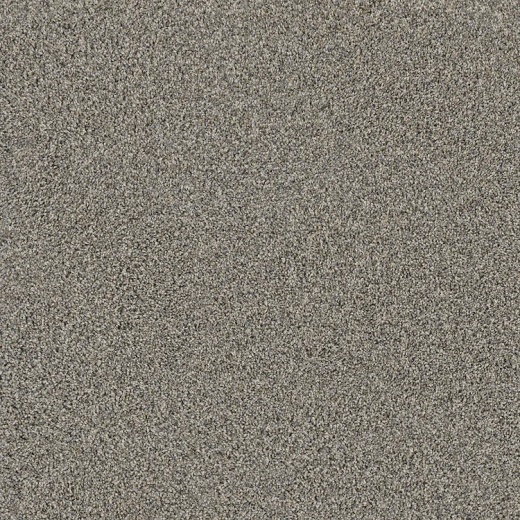FloorEver PetPlus Portofino Galleria Polyester Carpet - Textured