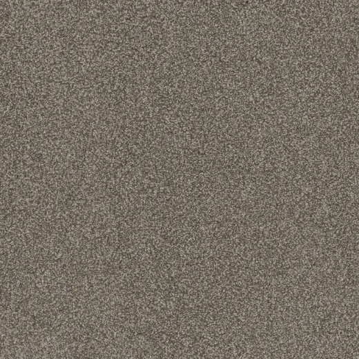 Floorever Petplus Sorrento Nature's Wonder Polyester Carpet - Textured