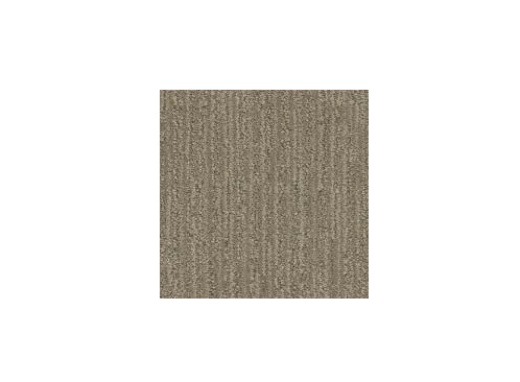 Floorever PetPlus All Inclusive Boundless Polyester Carpet - Pattern
